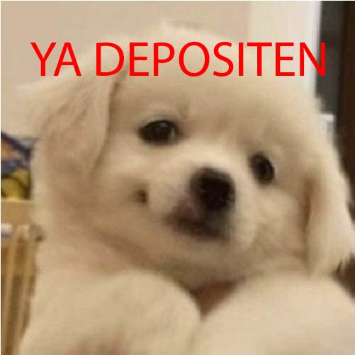 Gracias por su compra